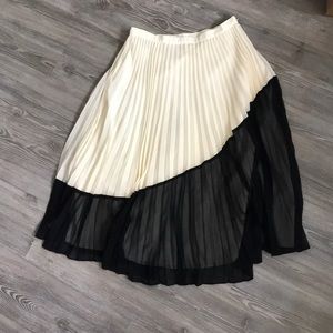 Pleated Skirt